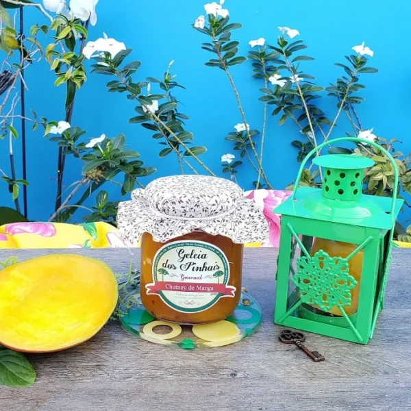Geléia de Damasco Natural e Artesanal (70% Fruta) - Image 2