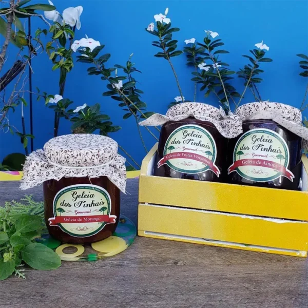 Geleia de Framboesa Natural e Artesanal (70% fruta) - Image 2